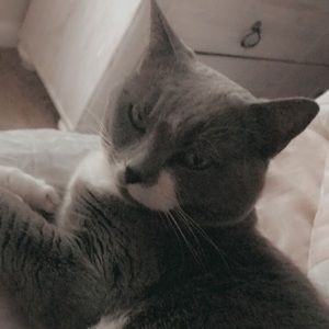 Meet your Posher, Adriane